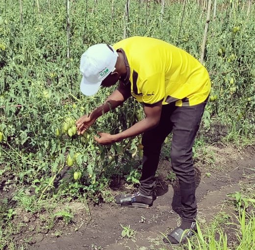 Empowering Future Agribusiness Professionals through Hands-On Training and Innovation