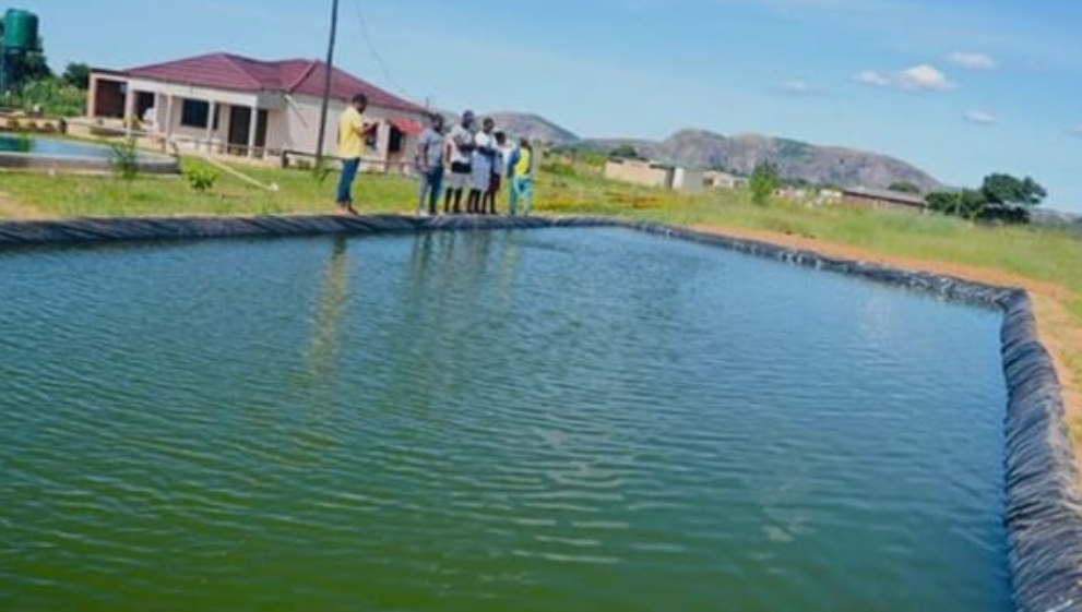 TARI Ifakara Aquacultural Pond Designing and Construction