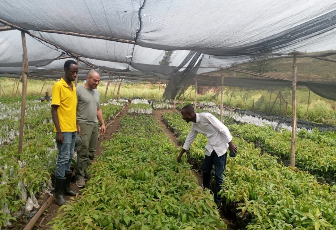 Building Resilient Communities through the Integrated Forest and Biomass Energy Solution for Tanzania (IFBEST)