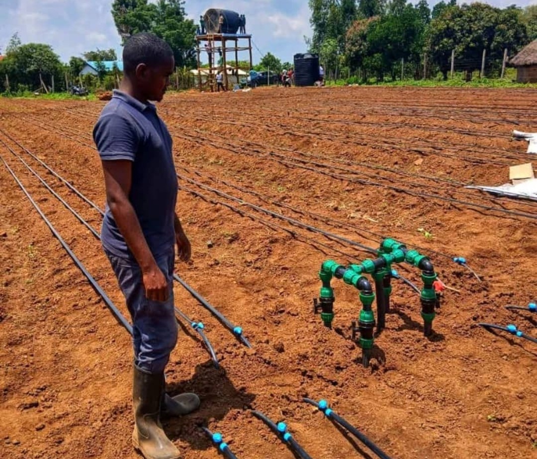 Mwanza Cathedral Catholic Church-Drip Irrigation Installation Project