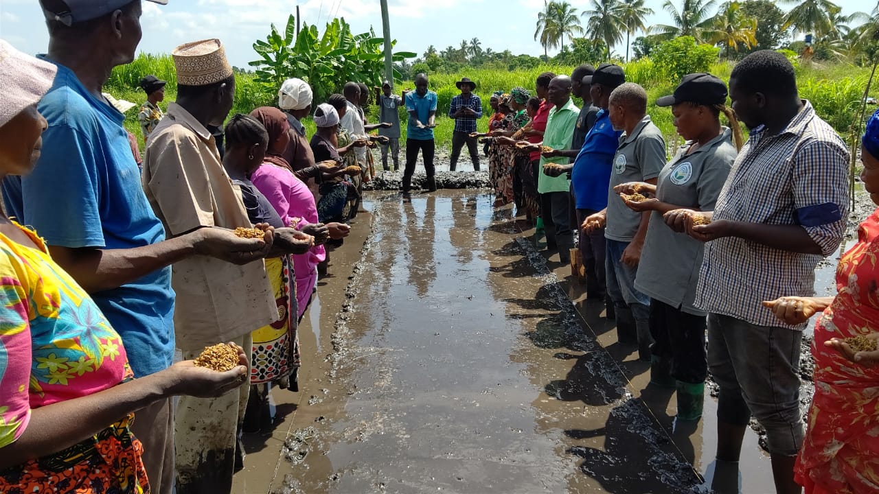 Agricultural Extension and Farming Advisory Services