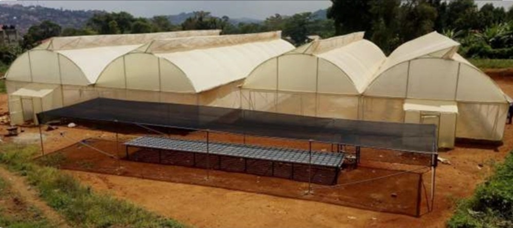 Greenhouse Design and Installation