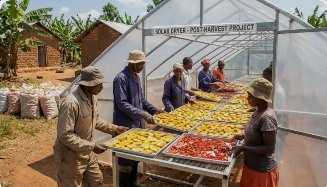 Post-Harvest Technologies